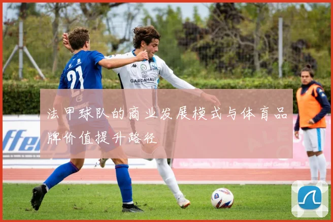 法甲球队的商业发展模式与体育品牌价值提升路径