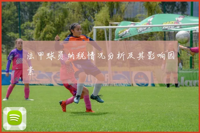 法甲球员纳税情况分析及其影响因素