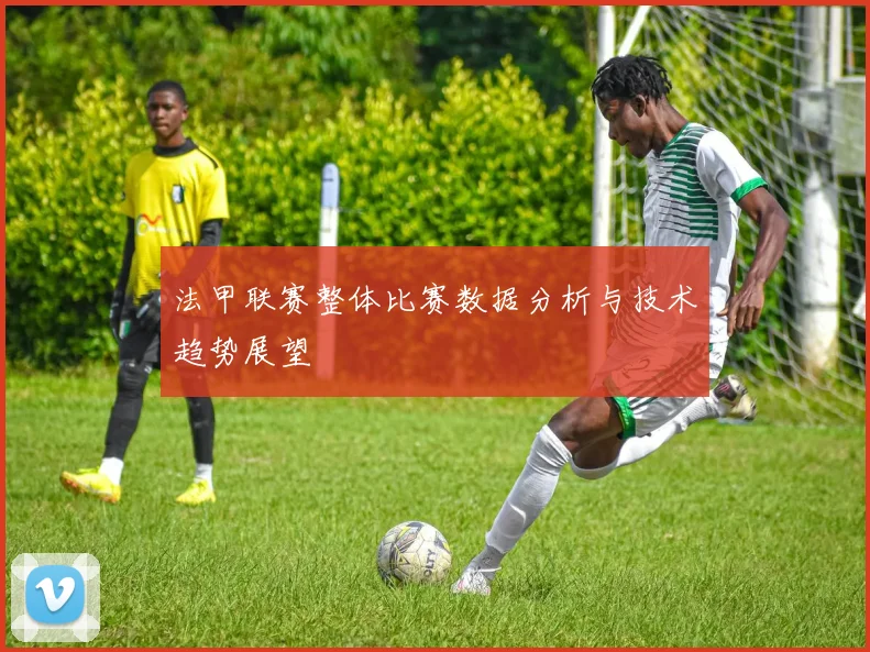 法甲联赛整体比赛数据分析与技术趋势展望